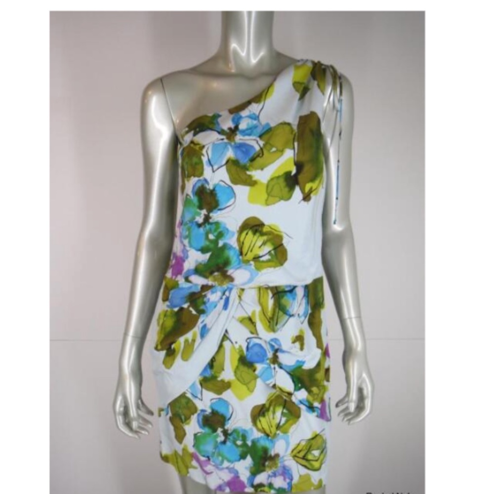 Silk One Shoulder Mini Dress by Ali Ari